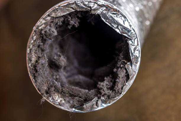 Best Affordable HVAC Duct Cleaning  in Oxford, MS