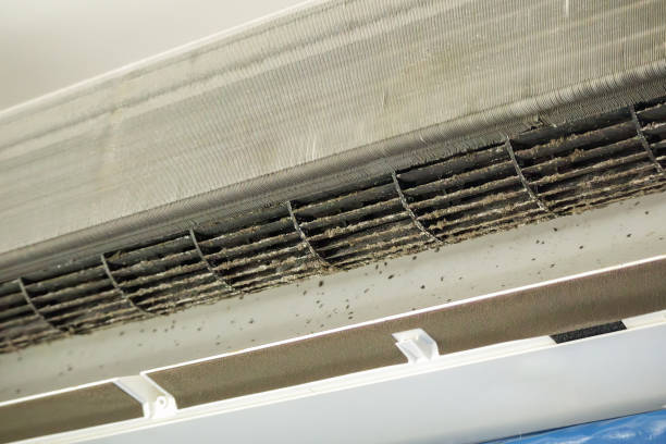 Best Ventilation Cleaning Services  in Oxford, MS